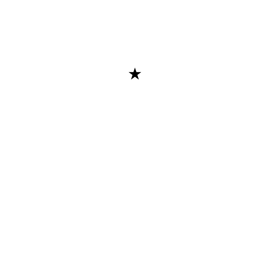Big Country Beef Jerky